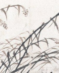 索赔138亿只是开始，巴拿马闯下大祸，中国要对其全球资产动手