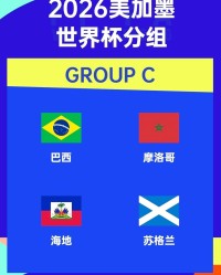 九游娱乐-世界杯小组盘点-C组，巴西带头，全员踢防反，惊不惊喜？